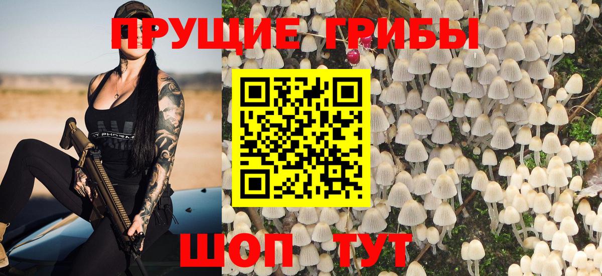Галлюциногенные грибы GOLDEN TEACHER  Вход с VPN  Псилоцибиновые грибы ЛСД  Богородицк 