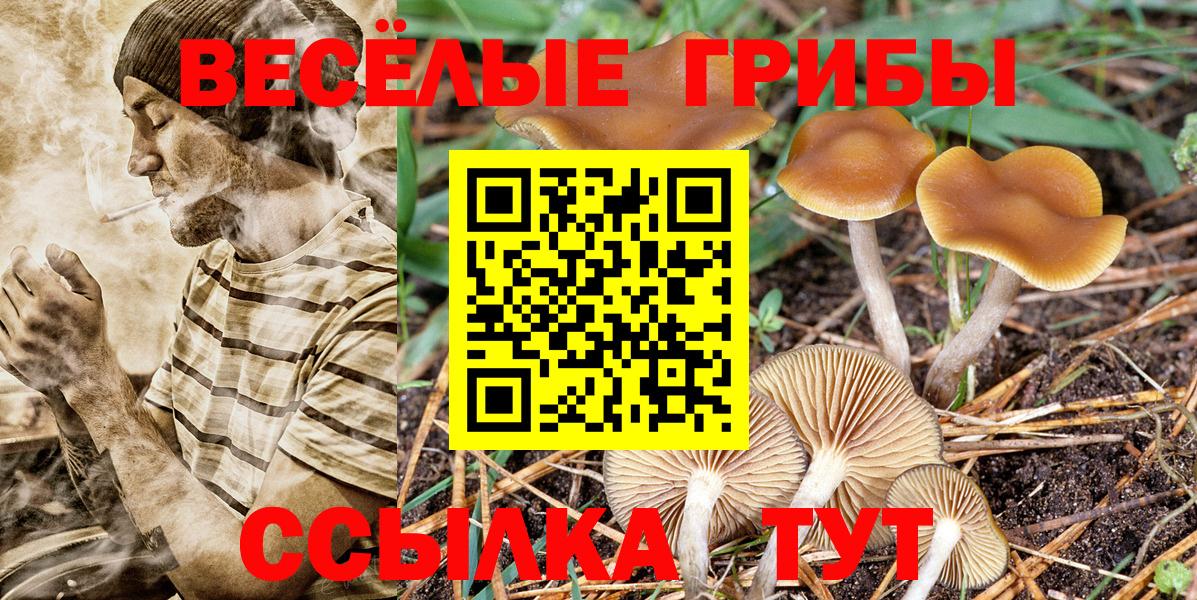 Галлюциногенные грибы мухоморы Богородицк